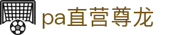 PA直营|中国官网